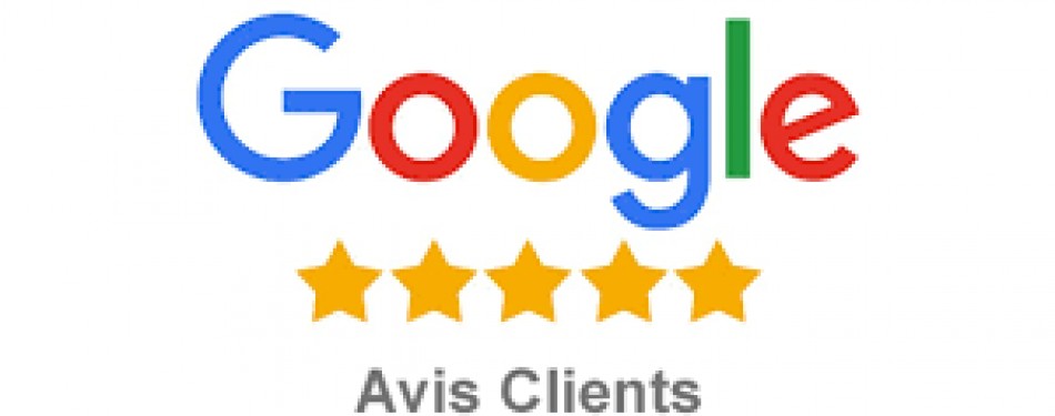 Google avis clients  Royan ULM Paramoteur Poitou-Charentes